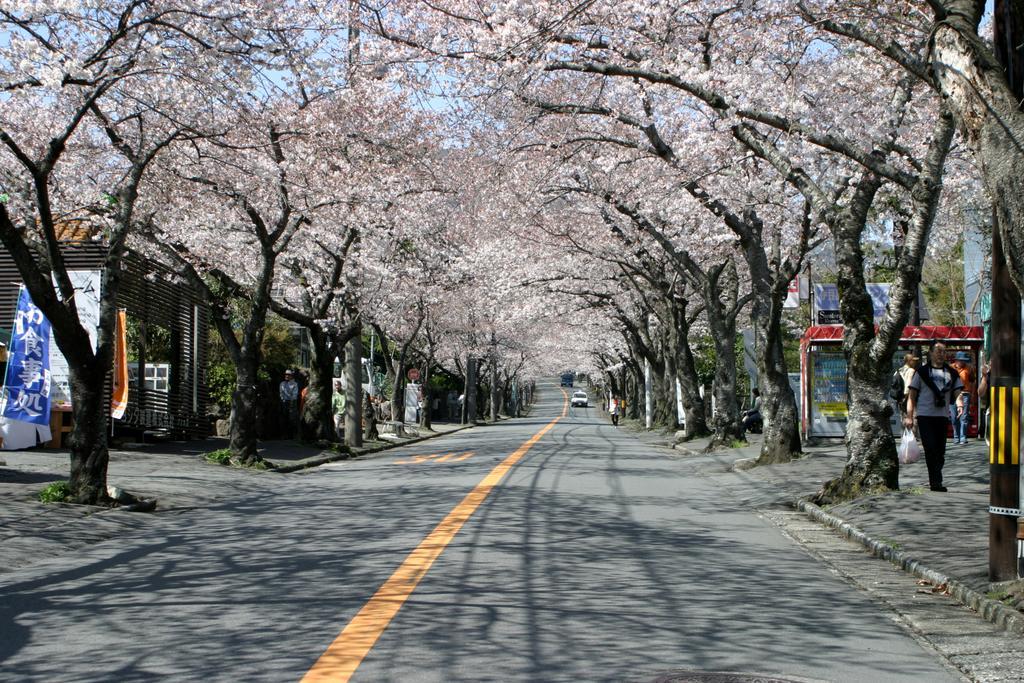 熱川温泉 粋光 東伊豆町 エクステリア 写真