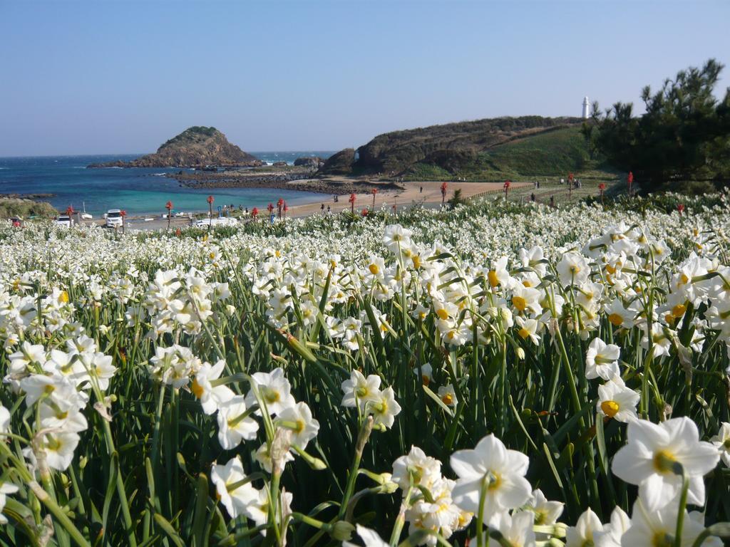 熱川温泉 粋光 東伊豆町 エクステリア 写真